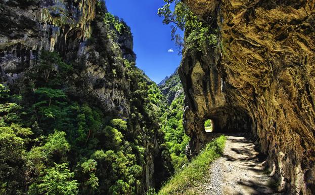 Montañeros y ciclistas unen fuerzas para cuidar y compartir el medio natural