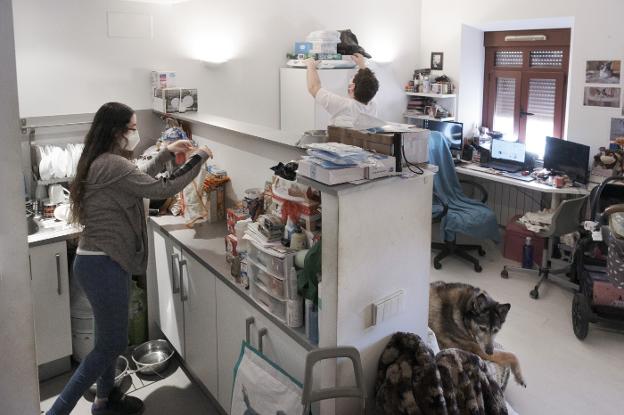 El Gobierno quiere obligar a que las viviendas tengan un tamaño mínimo de 35 metros cuadrados