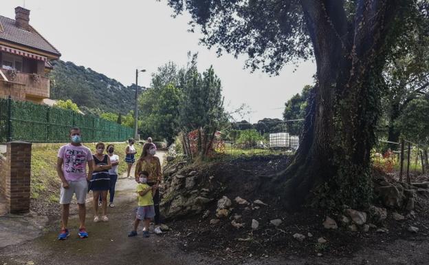 Los vecinos de La Garma se movilizan en defensa de una encina centenaria