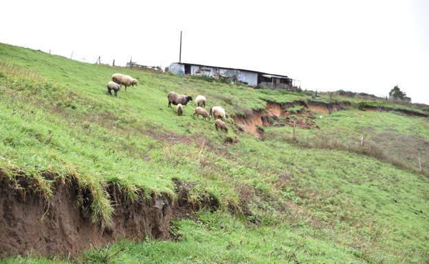 Patrimonio espera que la investigación sobre los daños en la cueva de El Juyo concluya este mes