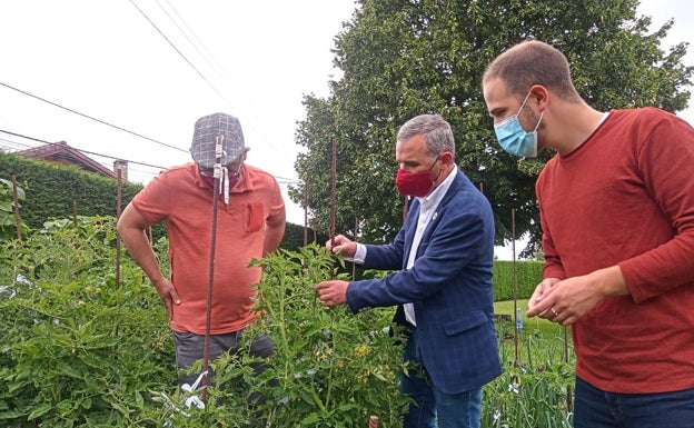 Bezana celebrará su III Feria del Tomate Antiguo el 28 y 29 de agosto para premiar las mejores clases de tomate