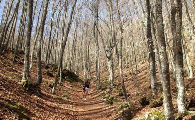 Ruta circular de diez kilómetros en Tejeda de Tosande, muy cerca de Cervera de Pisuerga