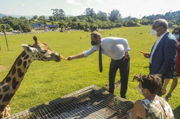 El Parque de Cabárceno estrena dos nuevos terrarios para las cobras reales