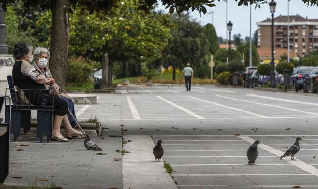 Los vecinos del Barrio Covadonga ya no aguantan más la plaga de palomas