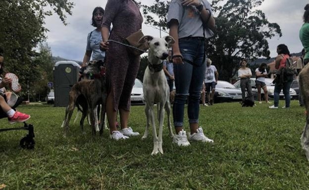 El Muelle de Oruña celebra este domingo el festival canino 'Dog Fest'