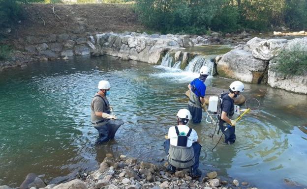 Trabajos de mejora en el cauce del río Los Llares en Arenas de Iguña