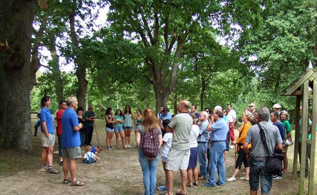 Redescubre el Arboreto de Liendo a través de las visitas guiadas de Bosques de Cantabria