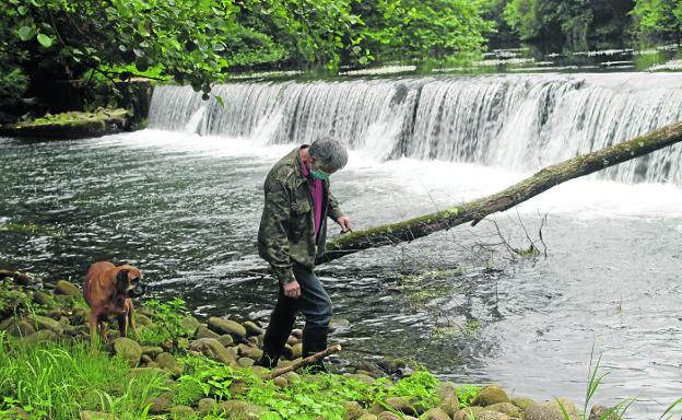 Un proyecto para derribar la presa de Vega de Villafufre amenaza al viejo molino