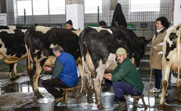 Ciudadanos pide al Gobierno que «medie» para lograr un precio «justo» de la leche