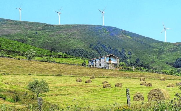 «En la balanza salen beneficios porque gracias a los eólicos se financian servicios esenciales»