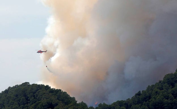 Tres incendios causan daños en 5.000 hectáreas de Tarragona, Albacete y Huelva