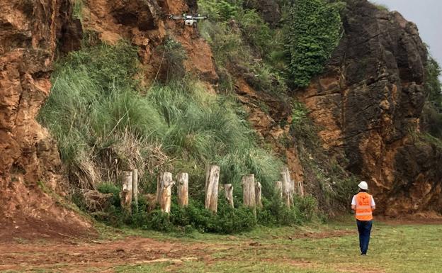 Cabárceno utilizará drones para acabar con los plumeros en las zonas inaccesibles