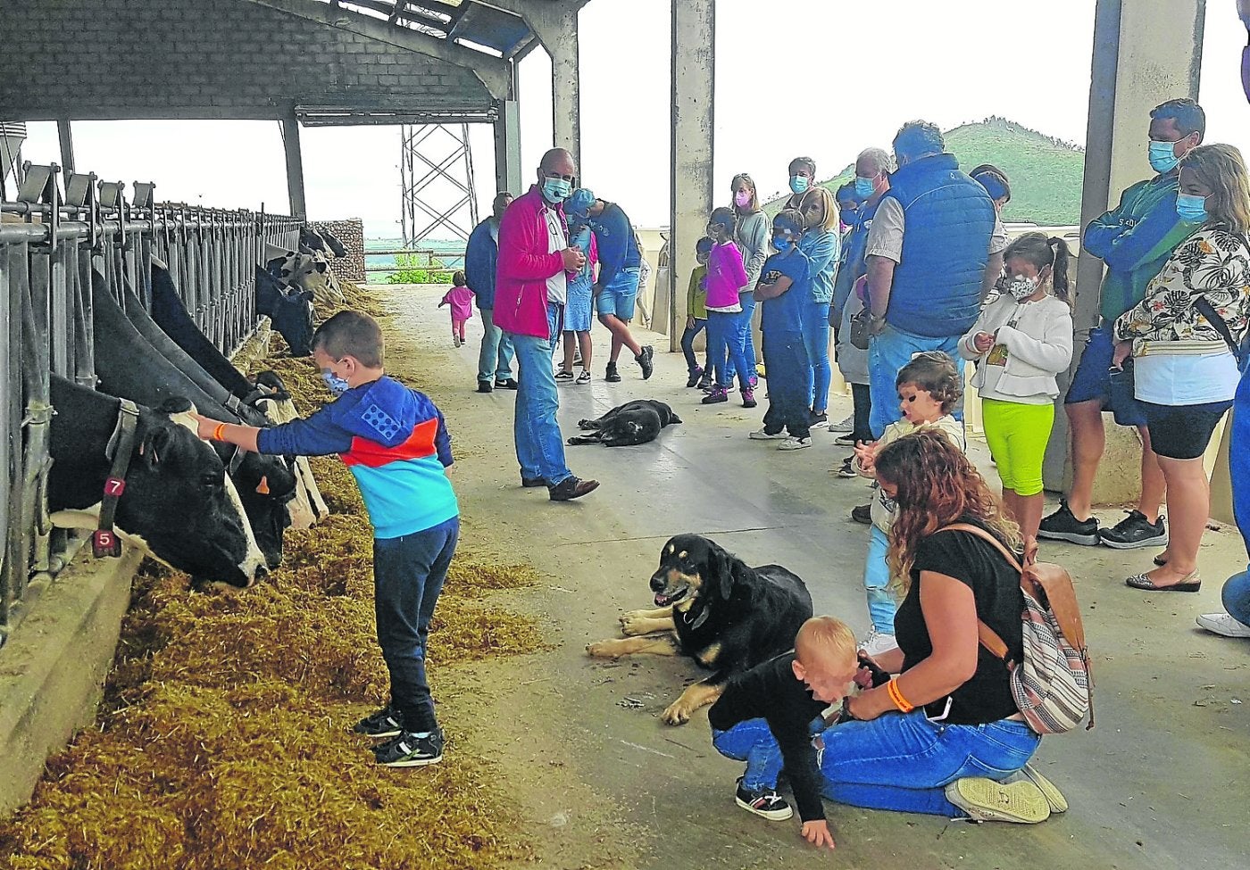 La ganadería como atractivo turístico