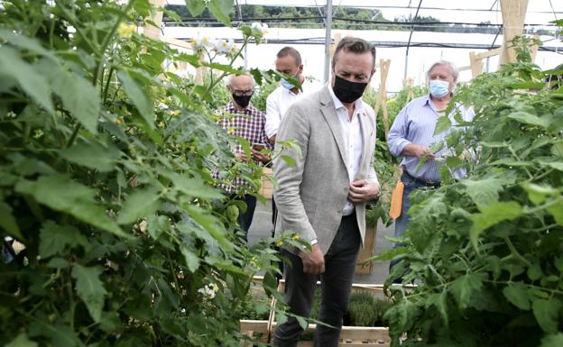 Torrelavega acoge del 27 al 29 de agosto el Festival del Tomate de Cantabria