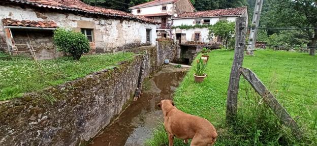 Vecinos y asociaciones se movilizan para salvar de la piqueta el molino de Villafufre