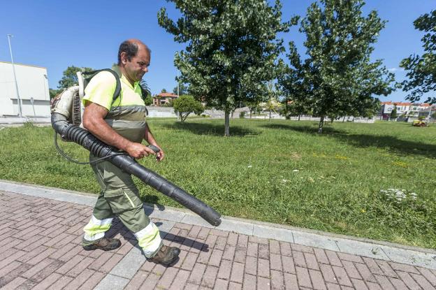 El Ayuntamiento plantó 1.492 árboles hasta junio, la cifra más alta en nueve años