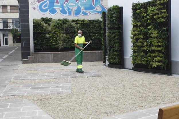 El jardín vertical ya luce en verde