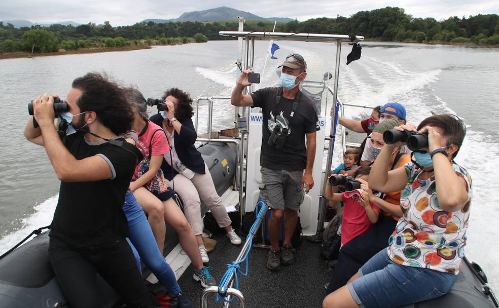 De safari por el Miera a ver águilas pescadoras