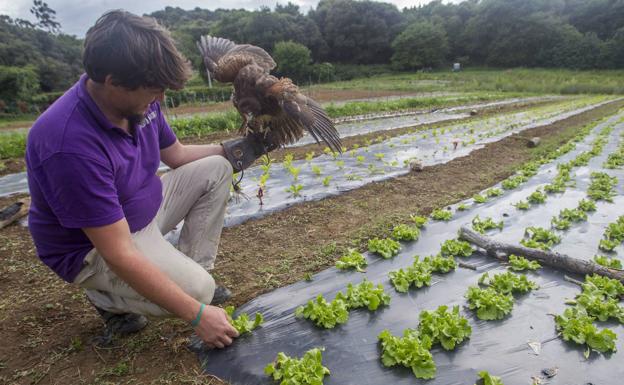 Desarrollo Rural subvencionará con 10 millones a 76 proyectos agroalimentarios