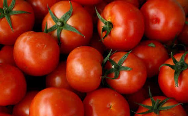 Torrelavega acoge este fin de semana el primer Festival del Tomate de Cantabria