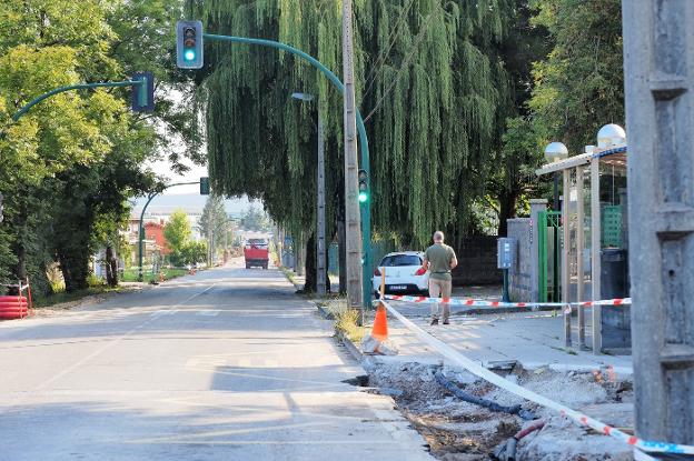 Torrelavega modifica el proyecto de una obra en marcha para salvar doce árboles