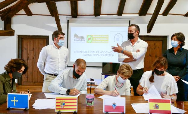 Cantabria, Asturias y Aragón crean la Unión Nacional de Asociaciones de Equino Hispano Bretón