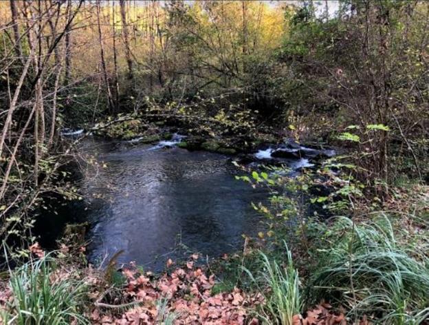 Naturaleza y arquitectura en el corazón de Trasmiera