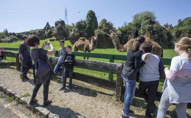 Cantabria vuelve a ofrecer descuentos en Cabárceno, Fuente Dé y El Soplao a los huspedes de los hoteles