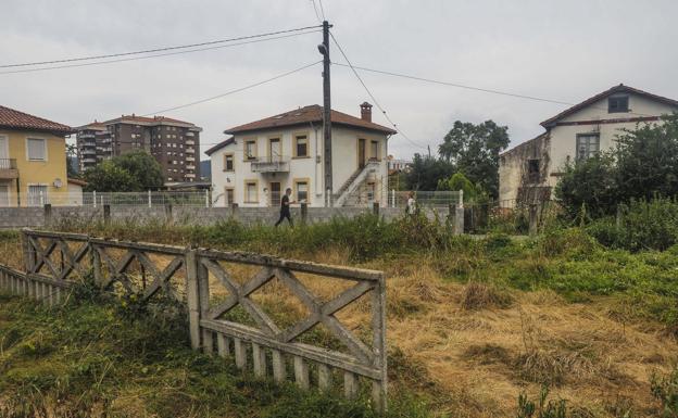 «Aquí las ratas se comen a los gatos»