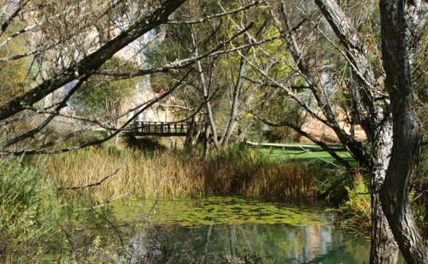 Un paseo disfrutando de las esculturas que el río Lobos ha esculpido en la naturaleza