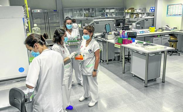 Valdecilla investiga si los pacientes sin anticuerpos tienen inmunidad celular