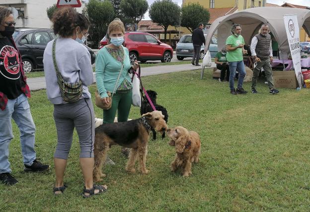 «Esta actividad visibiliza la importancia de las adopciones»