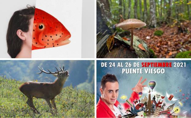 Artes fantásticas, berrea y magia para estrenar el otoño