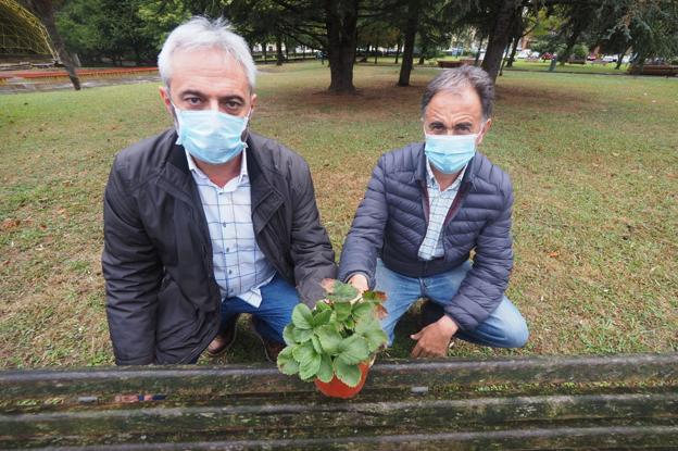 Un estudio de calidad del aire hecho con fresas señala que la contaminación es «moderada»