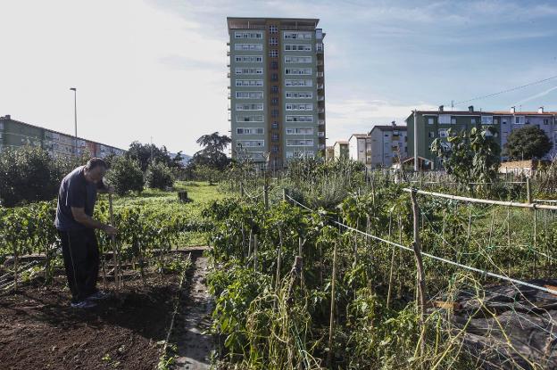 Los huertos urbanos de Sierrapando se sortearán en el primer trimestre de 2022