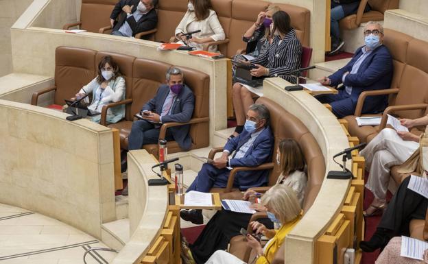 Las infraestructuras ferroviarias, el lobo y la pandemia, a debate en el Pleno