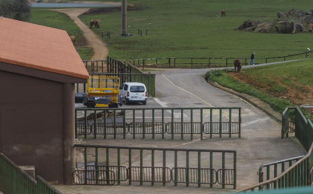 La jueza practica las primeras testificales por la muerte del trabajador de Cabárceno