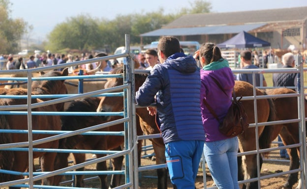 La feria ganadera regresa a Campoo de Enmedio