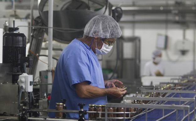 Cantabria exhibirá la calidad de sus anchoas, quesos, sobaos y vinos en el Salón Gourmets de Madrid