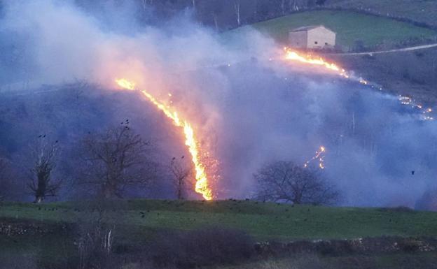 Archivan la causa contra dos ganaderos investigados por un incendio forestal en Peñarrubia