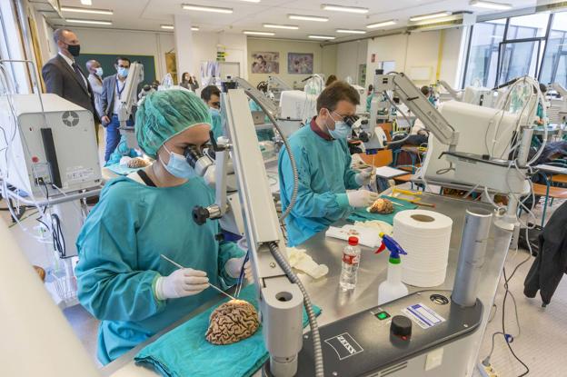 Doce cerebros para la ciencia del futuro