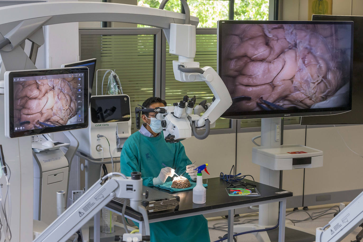 Un curso de neurocirugía, único en el mundo, en la Facultad de medicina de Cantabria