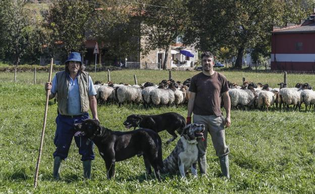 El mejor aliado contra el lobo