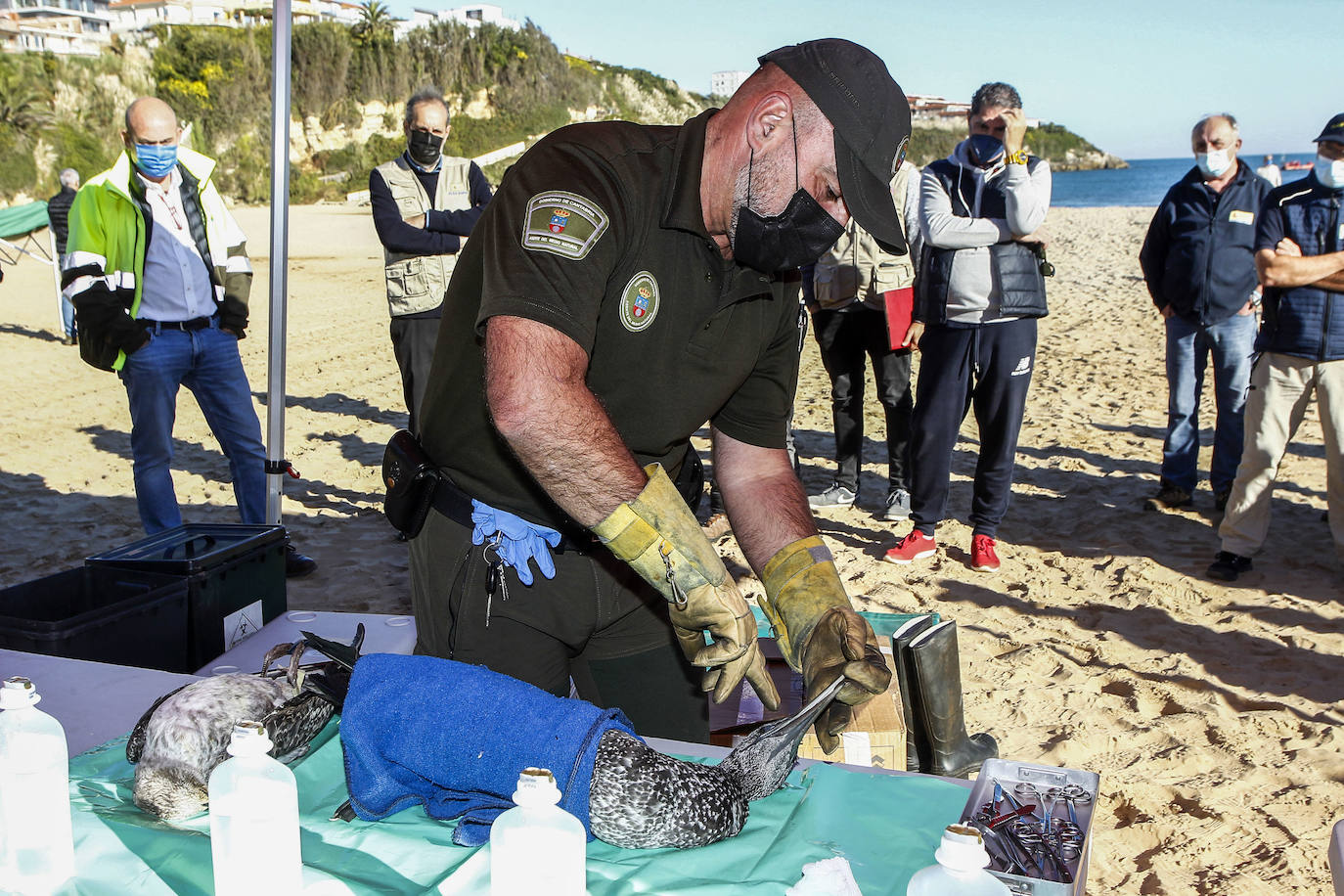 Simulacro de actuación ante una posible contaminación marina accidental en la playa de La Concha