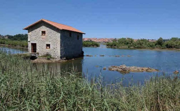 Seis rutas para descubrir los rincones naturales de Noja