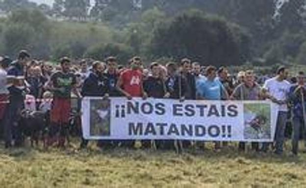 La Audiencia Nacional admite a trámite el recurso de Castilla y León contra la protección del lobo