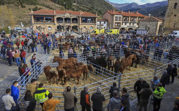 La feria de Los Santos de Potes recupera el pulso y vuelve sin vendedores ambulantes