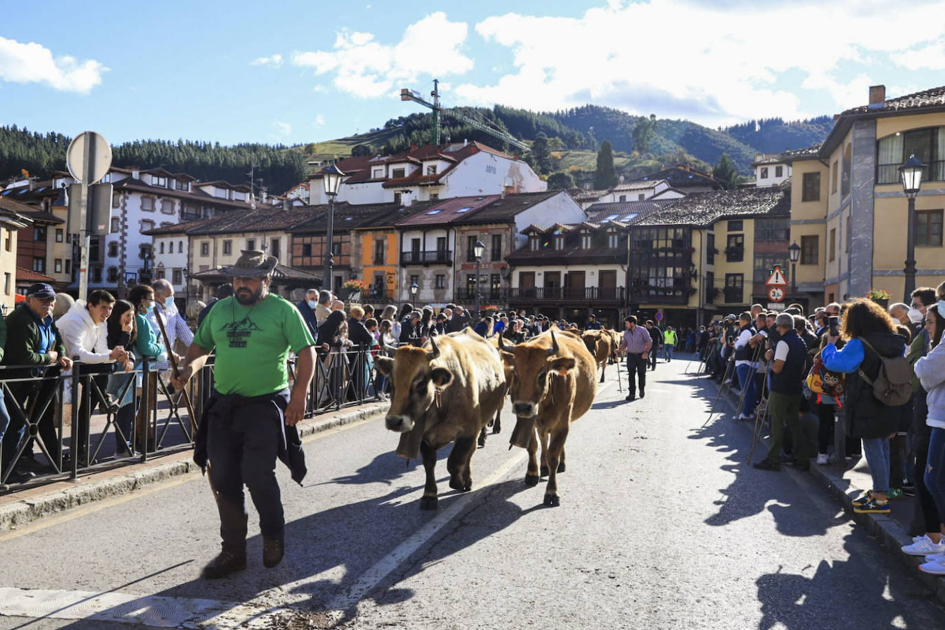 Potes celebra la feria ganadera de Los Santos