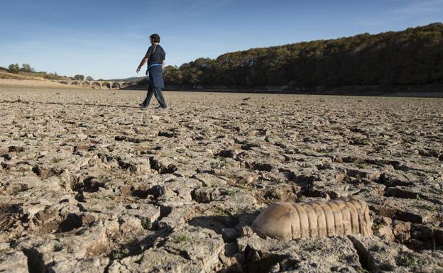 El cambio climático amenaza con convertir Cantabria en una región mediterránea