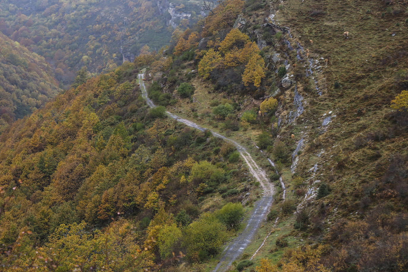 Los colores de Campoo en otoño